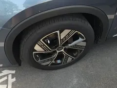 2023 BYD Song Pro Champion DM-i PHEV 110KM Excellence — фото 6