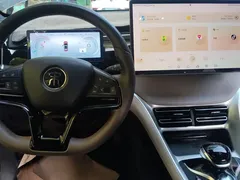 2023 BYD Song Pro Champion DM-i PHEV 110KM Excellence — фото 12