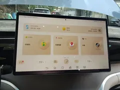 2023 BYD Song Pro Champion DM-i PHEV 110KM Excellence — фото 13