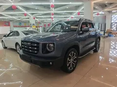 2021 Haval Dargo 1.5T DCT 2WD Wangcai — фото 2