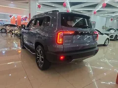 2021 Haval Dargo 1.5T DCT 2WD Wangcai — фото 5
