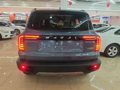 2021 Haval Dargo 1.5T DCT 2WD Wangcai — фото 6
