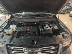 2021 Haval Dargo 1.5T DCT 2WD Wangcai — фото 20