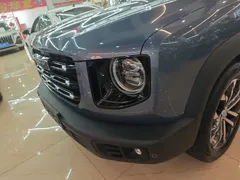 2021 Haval Dargo 1.5T DCT 2WD Wangcai — фото 24