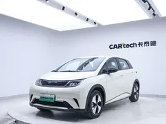 2023 BYD Dolphin 420km Freedom, белый — фото 9