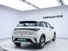 2023 BYD Dolphin 420km Freedom, белый — фото 21