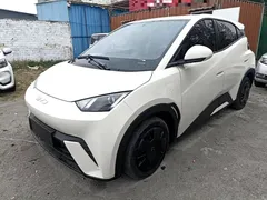 2023 BYD Seagull Vitality, белый — фото 2