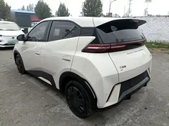 2023 BYD Seagull Vitality, белый — фото 5