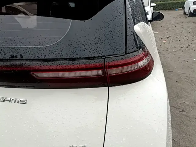 2023 BYD Seagull Vitality