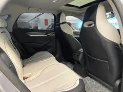 2023 BYD Destroyer 05 Champion DM-i PHEV 120km Premium — фото 11