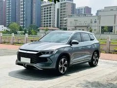 2023 BYD Song Pro Champion DM-i PHEV 110KM Excellence — фото 1