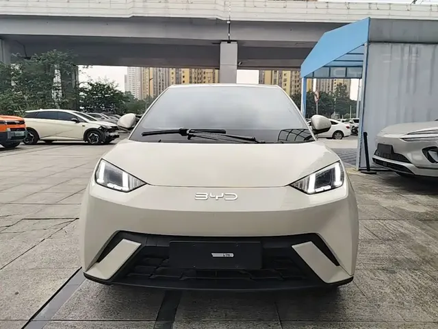 2024 BYD Seagull EV 305km Honor Freedom