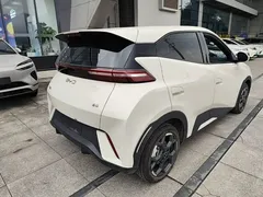 2024 BYD Seagull EV 305km Honor Freedom, белый — фото 7
