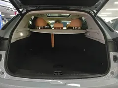 2024 Leapmotor C11 EV 580 Premium — фото 19