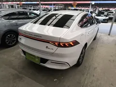 2023 BYD Qin PLUS Champion DM-i PHEV 55km Exceed, белый — фото 7