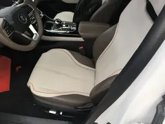 2023 BYD Qin PLUS Champion DM-i PHEV 55km Exceed, белый — фото 15