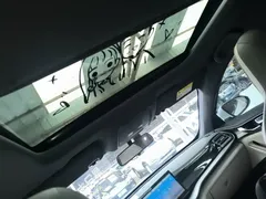 2023 BYD Qin PLUS Champion DM-i PHEV 55km Exceed, белый — фото 18