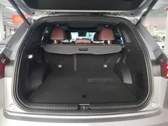 2021 Geely Monjaro 2.0TD DCT EVO 2WD Flagship — фото 19