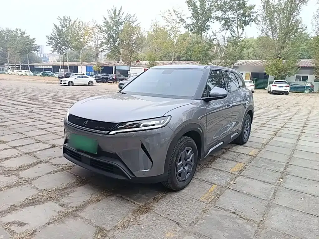2025 BYD Yuan UP EV 301km Pilot