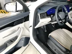 2023 BYD Song PLUS Champion EV 520km Premium, белый — фото 16