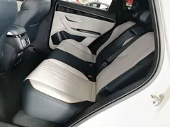 2023 BYD Song PLUS Champion EV 520km Premium, белый — фото 17