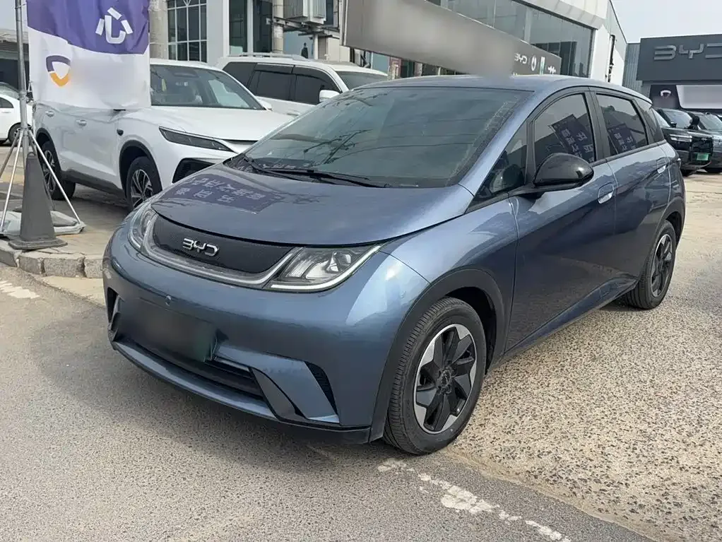 2024 BYD Dolphin Glory 420km Freedom