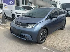 2024 BYD Dolphin Glory 420km Freedom — фото 2