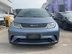 2024 BYD Dolphin Glory 420km Freedom — фото 3