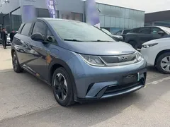 2024 BYD Dolphin Glory 420km Freedom — фото 5