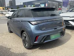 2024 BYD Dolphin Glory 420km Freedom — фото 7