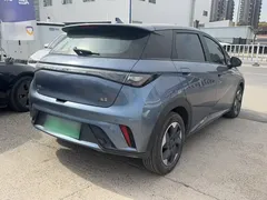 2024 BYD Dolphin Glory 420km Freedom — фото 8