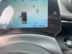 2024 BYD Dolphin Glory 420km Freedom — фото 12
