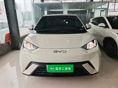2025 BYD Seagull 305km Vitality, чёрный — фото 3