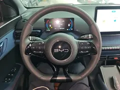 2025 BYD Seagull 305km Vitality, чёрный — фото 11