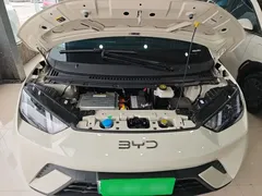 2025 BYD Seagull 305km Vitality, чёрный — фото 18
