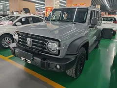 2021 Tank 300 Off-road 2.0T Conqueror — фото 2