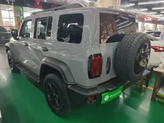 2021 Tank 300 Off-road 2.0T Conqueror — фото 5