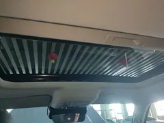 2021 Tank 300 Off-road 2.0T Conqueror — фото 18