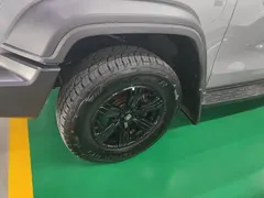 2021 Tank 300 Off-road 2.0T Conqueror — фото 23