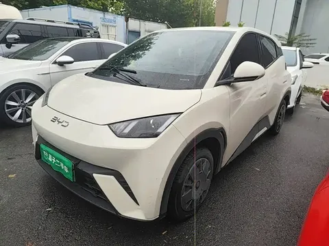 2024 BYD Seagull Honor 305km Vitality