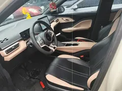 2024 BYD Seagull Honor 305km Vitality, белый — фото 15
