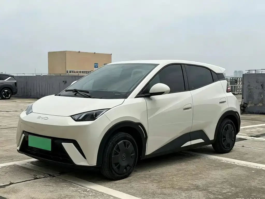 2024 BYD Seagull Honor 305km Vitality