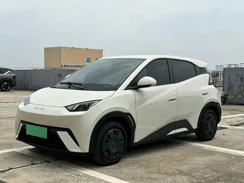 2024 BYD Seagull Honor 305km Vitality