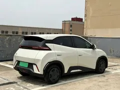 2024 BYD Seagull Honor 305km Vitality, белый — фото 6