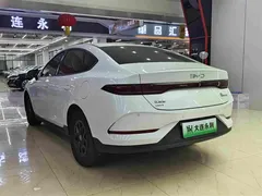 2025 BYD Qin PLUS DM-i PHEV Smart Driving 55km Leading, белый — фото 14