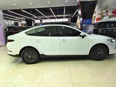 2025 BYD Qin PLUS DM-i PHEV Smart Driving 55km Leading, белый — фото 16