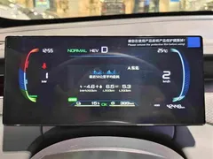 2025 BYD Qin PLUS DM-i PHEV Smart Driving 55km Leading, белый — фото 17