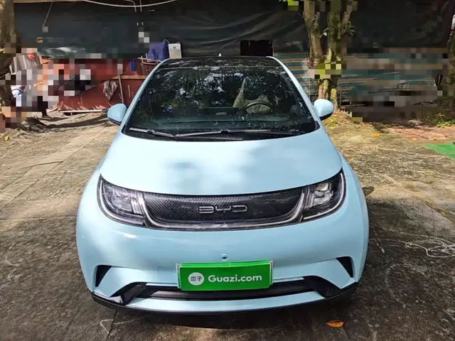 2021 BYD Dolphin 405km Fashion