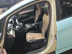 2021 BYD Dolphin 405km Fashion, синий — фото 15