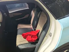 2021 BYD Dolphin 405km Fashion, синий — фото 17